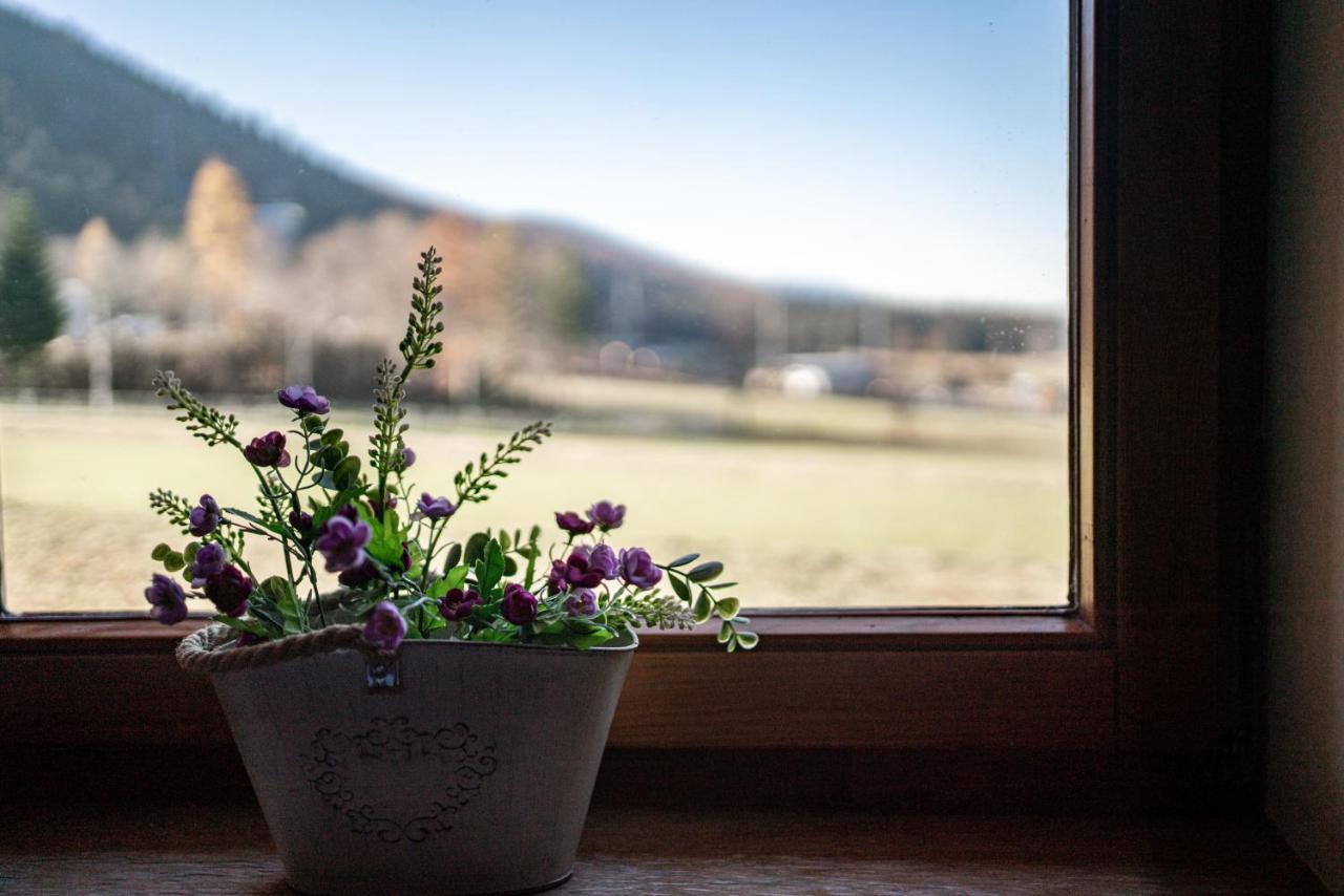Apartamenty Bogowka 11 Zakopane Luaran gambar